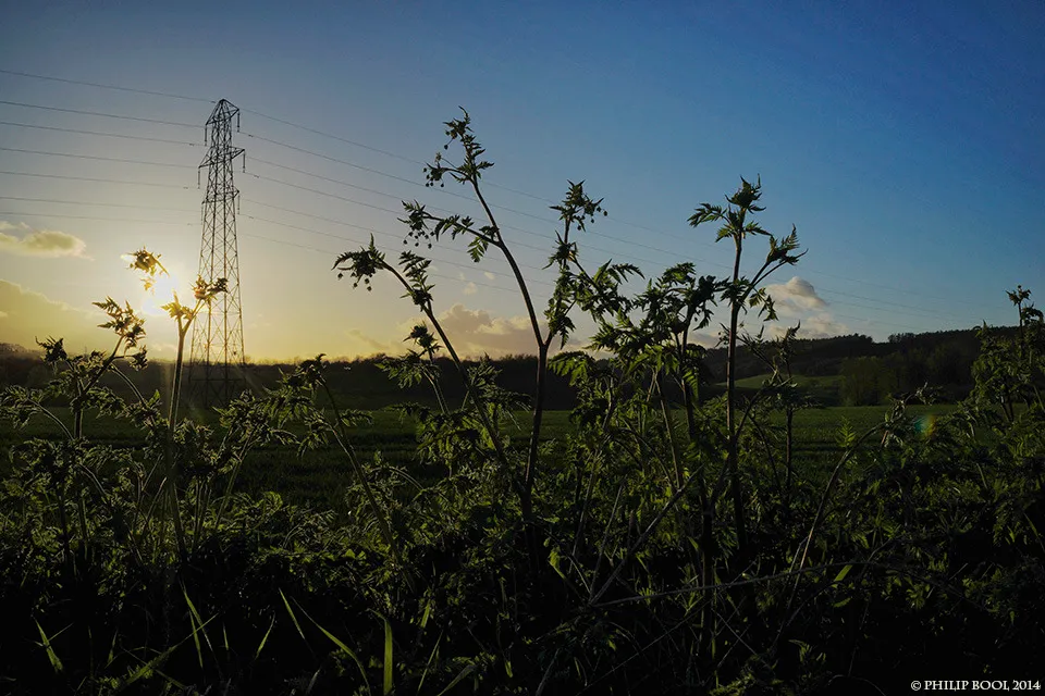 Photograph, Devon, 28 April 2014