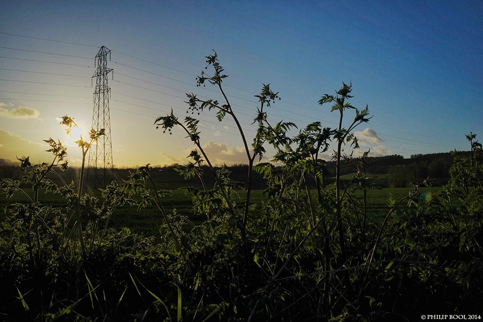 Photograph, Devon, 28 April 2014