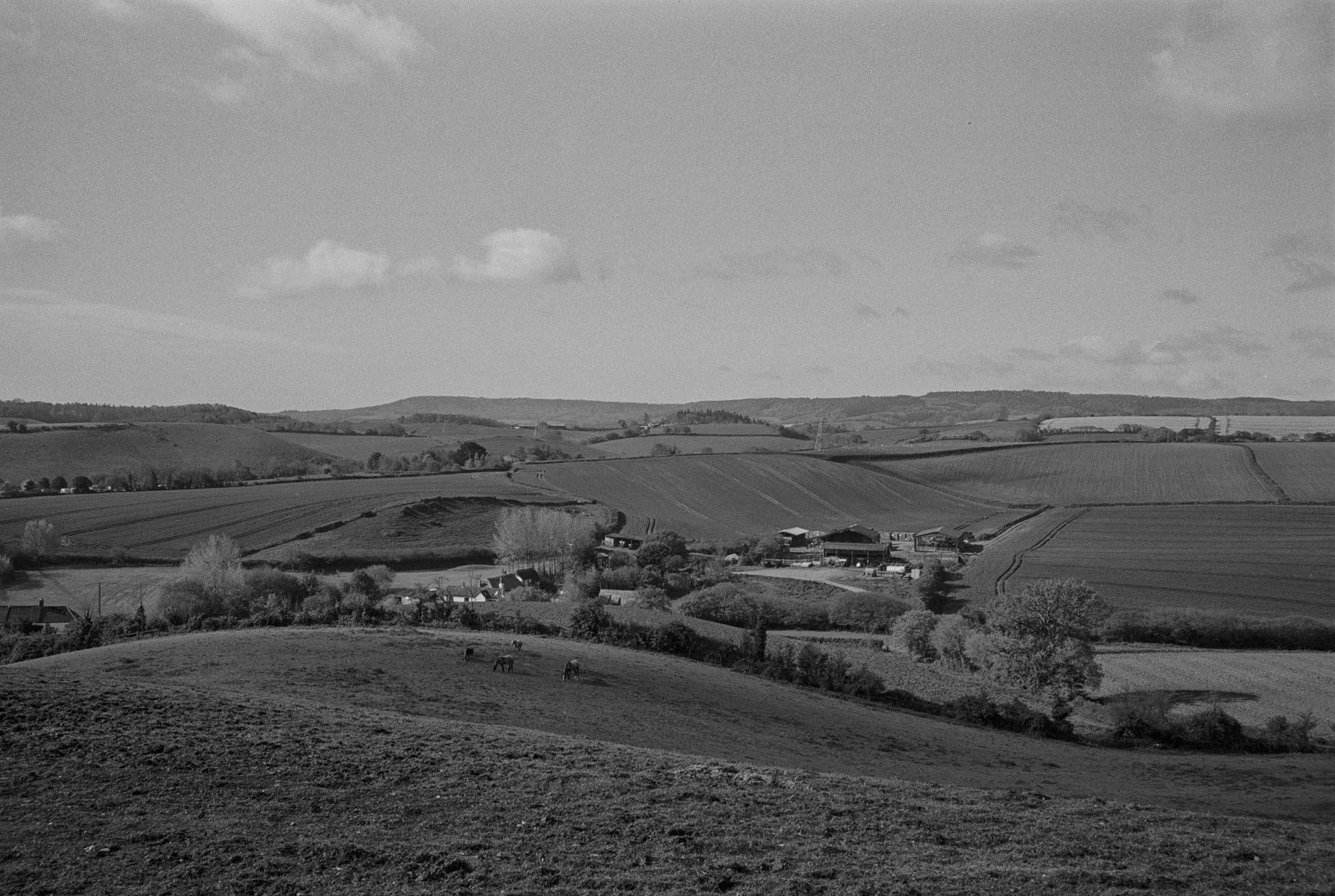 A view across farmland from a hillside, black and white: a farm and a scatter of cottages tucked into a hollow, ploughed fields and hedgerows rising to a long downland ridge, horses grazing in the field below.