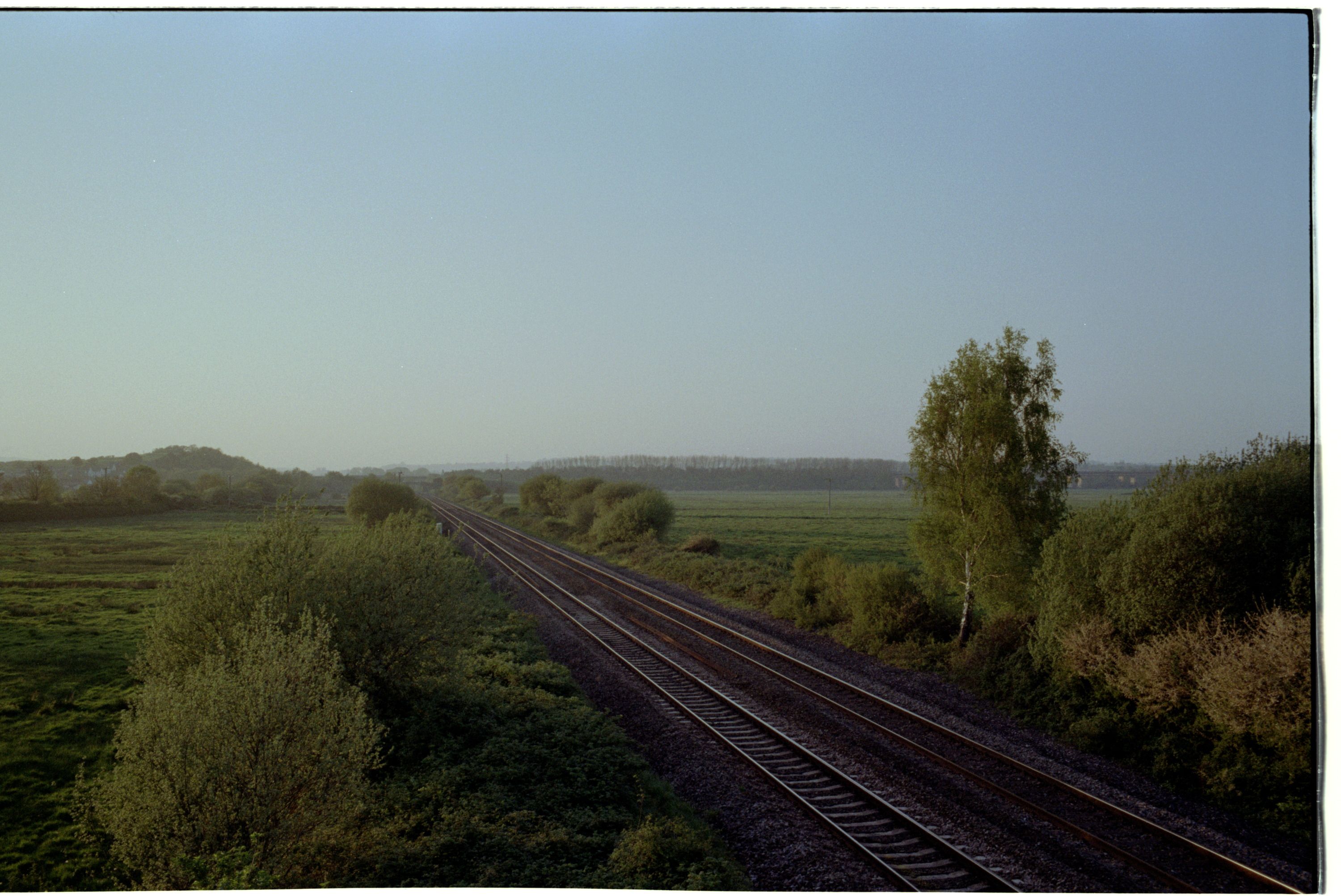 A railway line running away into scrubby marshland at dusk, birch trees on both embankments and a pale blue sky above.