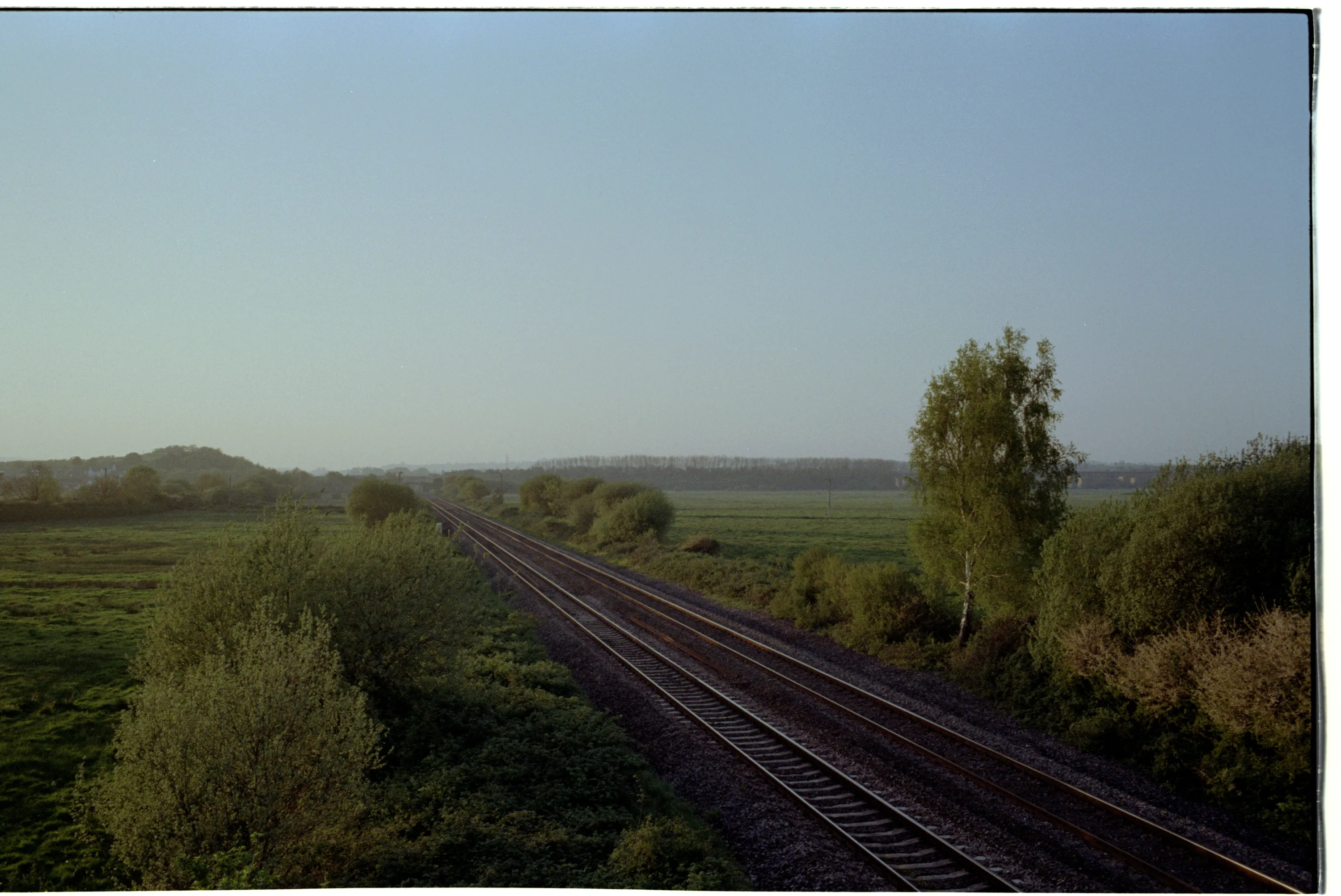 A railway line running away into scrubby marshland at dusk, birch trees on both embankments and a pale blue sky above.
