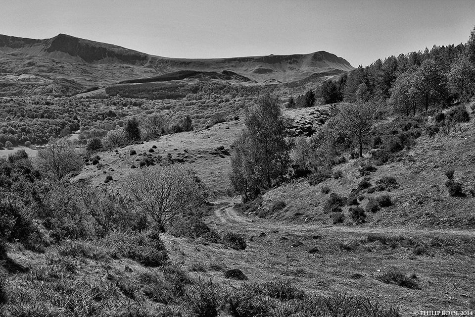 Photograph, Wales, 20 May 2014